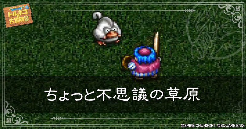 ちょっと不思議の草原の見出し画像